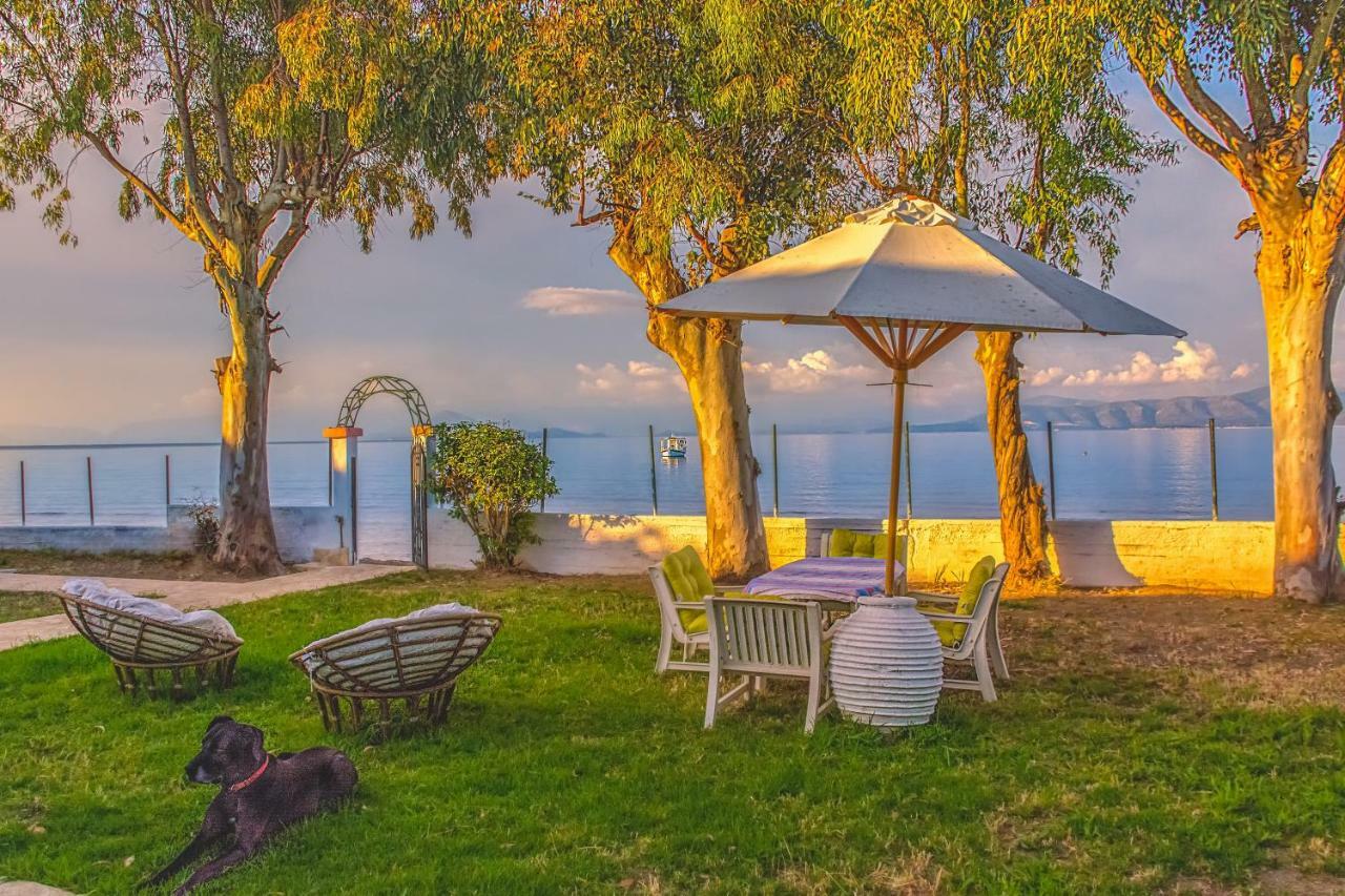 Lemami Seafront Bungalows Kávos Eksteriør bilde